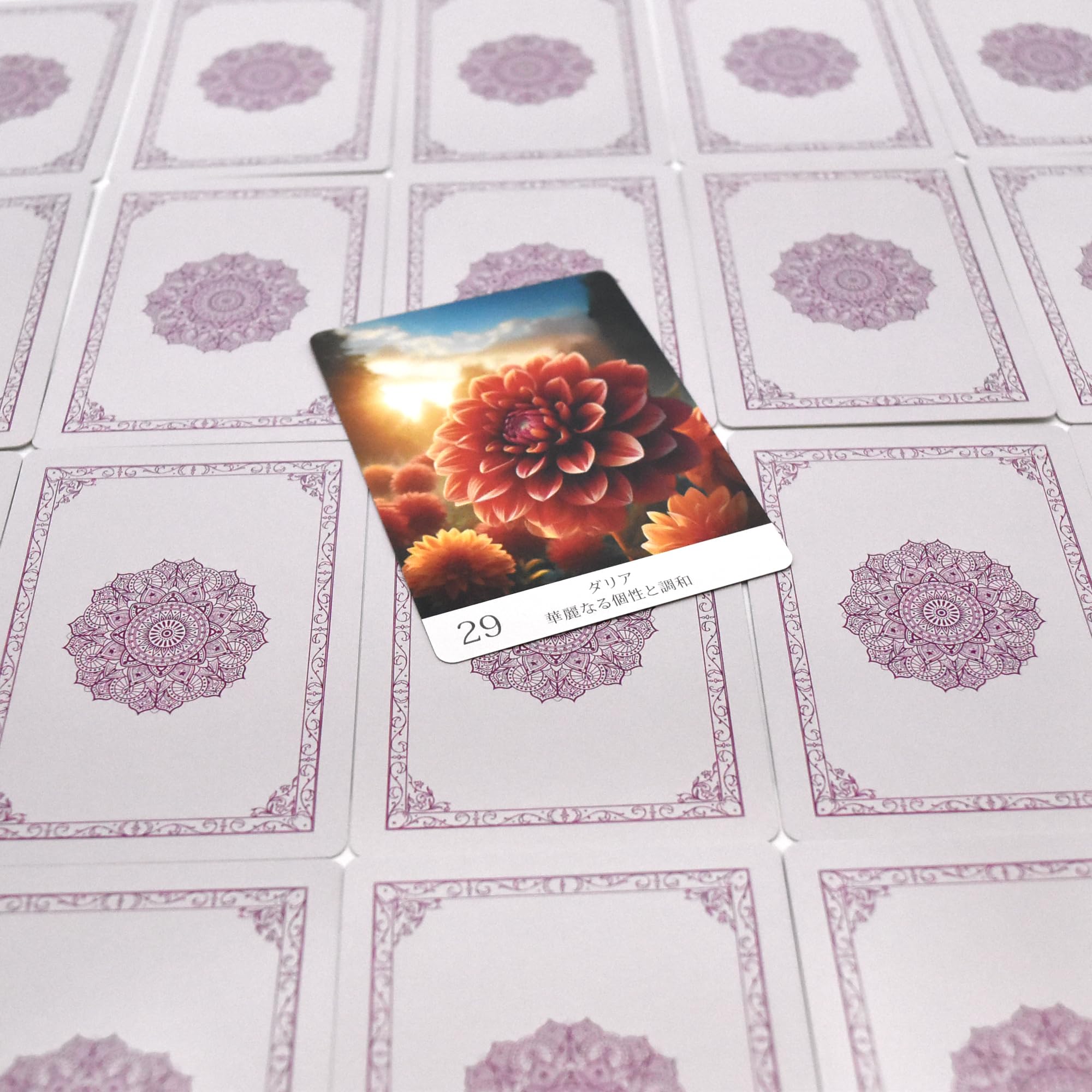 Amazon.co.jp: Floral Wisdom Oracle Cards（フローラル